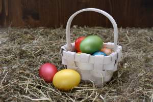 ActiveVoice---Easter-Egg-Hunt