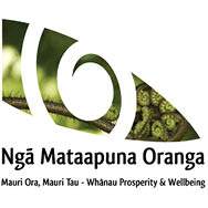 Ngā Mataapuna logo_90x90px