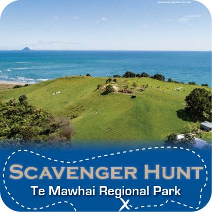 Onekawa_Te Mawhai Regional Park