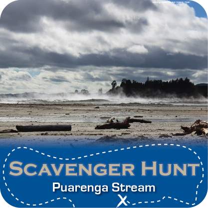 PuarengaStream_Rotorua
