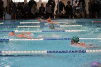 WBOP Swimming Champs (56)